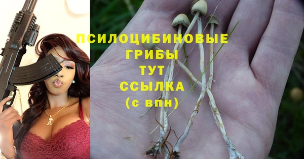 2c-b Вязьма